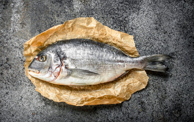 Fresh dorado on old paper.
