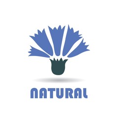 Abstract logo for business company. Cornflower. Color Vector icon