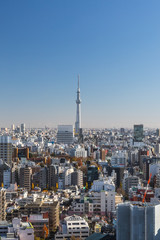 Fototapeta na wymiar Tokyo city view 