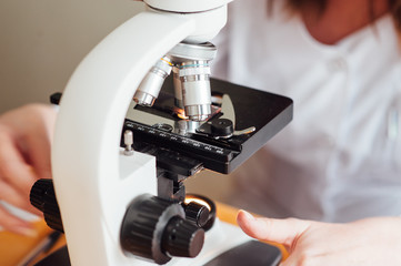 Scientist using a microscope in a laboratory