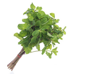 Fresh raw mint isolated on white