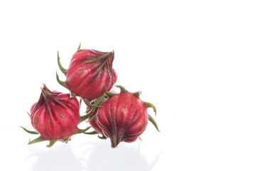 Obraz premium Hibiscus sabdariffa or roselle fruits isolated on white