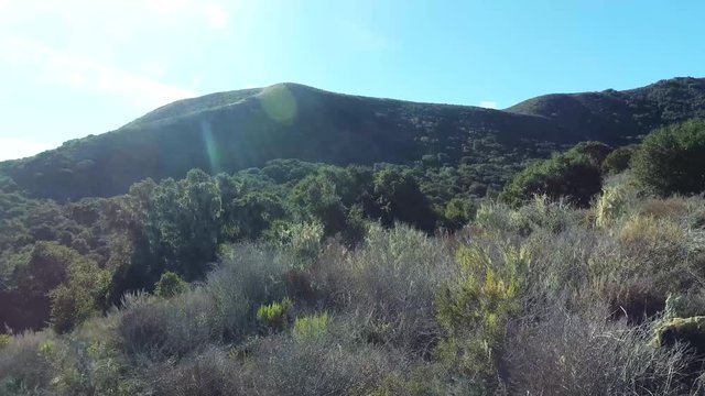 Central Valley Oak Covered Hills Flyover