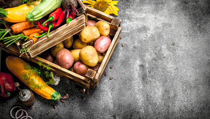 Organic food. Fresh harvest of vegetables in an old box.