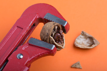 Walnut and adjustable wrench