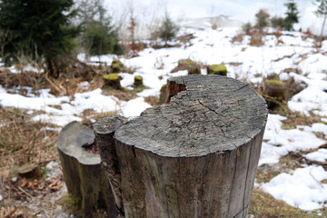 Bergsee in Schnee & Eis