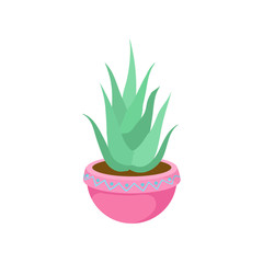 Cactus, home plant in a flowerpot cartoon vector Illustration