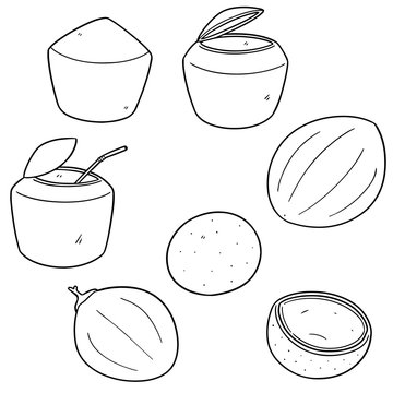 vector set of coconut