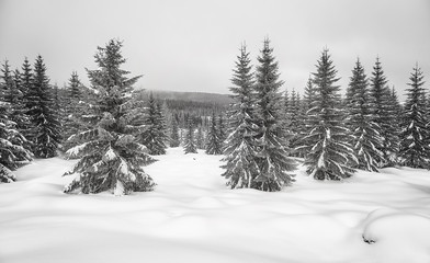 Black and white picture of a mountain winter landscape.