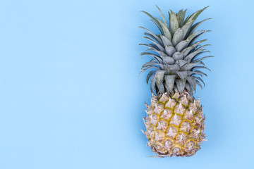 Pineapple isolated on blue background