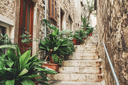 Fototapeta Beautiful street with flowers in the Hvar town, Hvar island, Dalmatia, Croatia