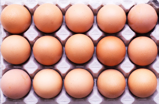 Closeup of raw chicken eggs in egg box or carton