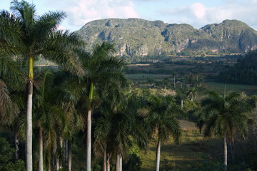 Fototapeta na wymiar View from Balcon del Valle on Vinales Valley National Park in Cuba 
