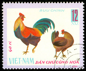 Ukraine - circa 2018: A postage stamp printed in Vietnam shows drawing Hen and rooster Ri Chicken -...