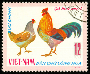 Fototapeta na wymiar Ukraine - circa 2018: A postage stamp printed in Vietnam shows drawing Hen and rooster Apricot Ri Chicken - Gallus gallus domesticus. Series: Domestic fowl. Circa 1968.