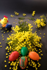 Mimosenzweig mit Ostereiern und Küken