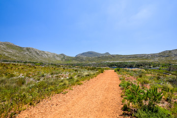 Beautiful view of a hiking trail in Silvermine Nature Reserve, part of the Table Mountain National Park in Cape Town, South Africa. The Silvermine reservoir in the background.