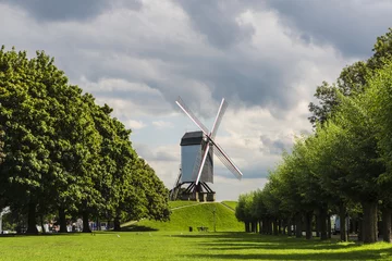 Photo sur Plexiglas Moulins Promenade des moulins de Kruisvest à Bruges, Belgique