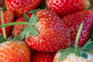 close up of Strawberry background, Fresh organic berries