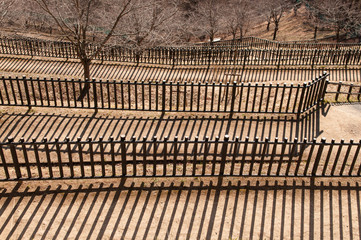 Wooden fence in the park.
