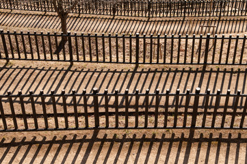 Wooden fence in the park.
