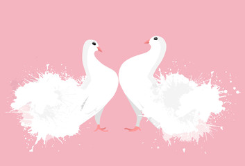 Pair of white enamored doves with watercolor sprays. Vector illustration for your creativity