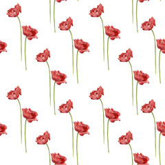 Fototapeta premium Seamless pattern with watercolor poppy flowers