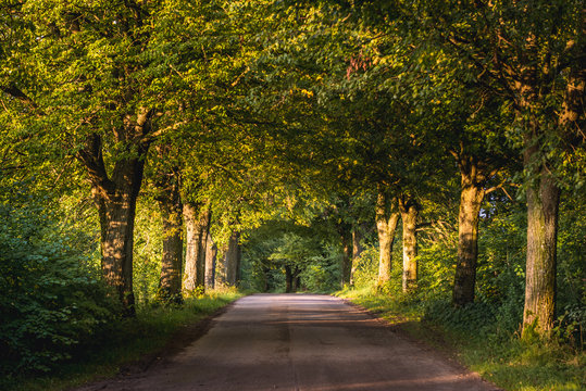 Road near small Zelki village in Masurian Lakeland region of Poland © Fotokon