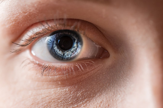 Human blue eye with reflection. Macro shot.