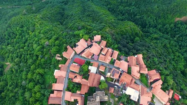 Drone flying over Signagi rooftops, beautiful view of green Alazani valley