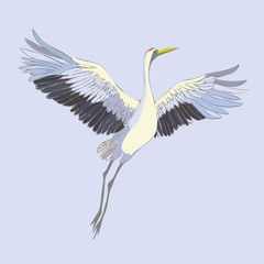 Vector watercolor set of illustrations bird crane. White stork . isolated object