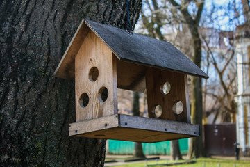 A creative wooden bird feeder in the park.