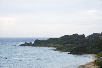 Fototapeta na wymiar 徳之島