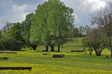 Prato primaverile in centro equestre, con ostacoli e alberi. Pratoni del Vivavo, Castelli Romani, Lazio, Italia