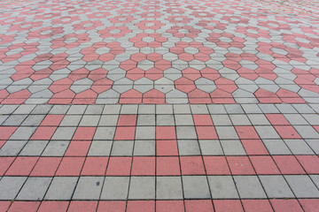 Fototapeta premium Pave Clay tiled walkway.