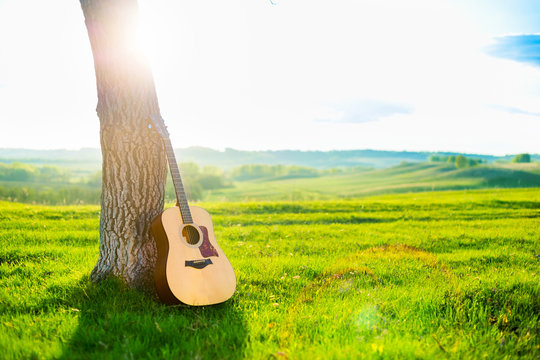 Acoustic guitar leaning against the trunk of a tree against a backdrop of beautiful scenery, a green meadow, spring hills, blue sky and sunset