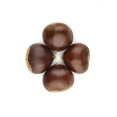Four chestnuts on a white background