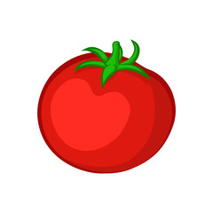 Tomato isolated on a white background. Vector illustration.
