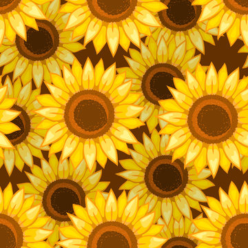 Sunflowers seamless pattern. Vector illustration.