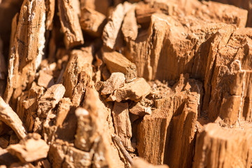 Old wood on nature as an abstract background