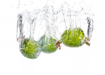 Feijoa under water on a white background
