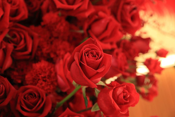 Beautiful red rose in flower bouquet.