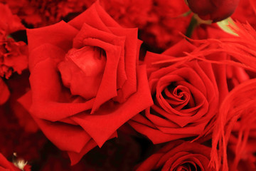 Close up of beautiful red rose in flower bouquet.