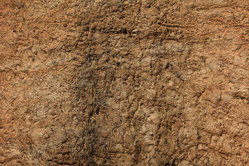Cement coated wall