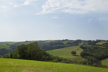 Fototapeta na wymiar The grazing land in Basque region