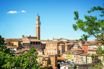 Fototapeta na wymiar Cityscape of Siena, aerial view with the Torre del Mangia, Tuscany, Italy