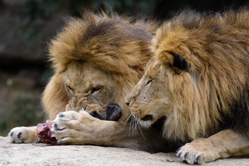 by Thorsten Spoerlein (www.thorstenspoerlein.com)
