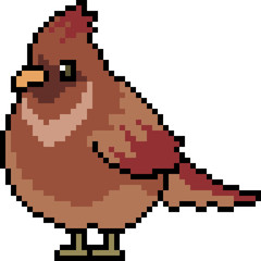 vector pixel art bird fat