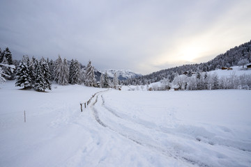 Fototapeta na wymiar paesaggio invernale in Val Canali, nel parco naturale di Paneveggio - Trentino