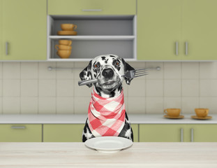 Hungry dalmatian dog with fork for dinner sitting at the table in the kitchen - obrazy, fototapety, plakaty